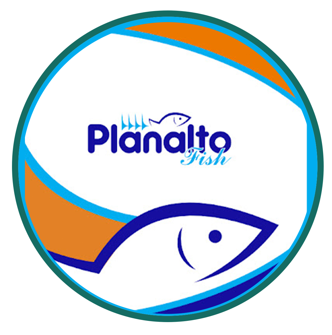 logo-planalto